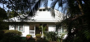 Waipio Wayside, Exterior, White house, palm trees in foreground