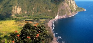 Scenic Hawaiian coast line