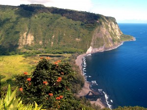 View of Waipio Valley from overlook