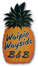 Waipio Wayside B&B pineapple logo